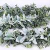 6′ Long Faux Mixed Eucalyptus Leaves and Lamb’s Ear Leaves Garland Artificial Greenery Garland in Gray Green for Farmhouse Wedding Arch Backdrop Table Runner Centerpiece Mantel Indoor Outdoor Decor