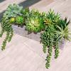 Winlyn 15 Pcs Artificial Succulents Unpotted Bulk Small Faux Succulent Plants Hanging Succulents Hops Aloe for Succulent Garden Wreath Floral Arrangement Indoor Outdoor Green Decor