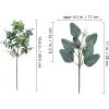 Winlyn 20 Pcs Mixed Artificial Oval Eucalyptus Leaves Bulk with White Seeds Stems and Spray for Vase Floral Wreath Bouquets Wedding Greenery Decoration