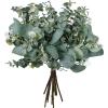 Bulk Artificial Silver Dollar Eucalyptus Leaves Picks Stems and Faux Branches for Vase Bouquets Floral Arrangement Wreath Rustic Farmhouse Greenery Decoration