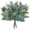 Mixed Eucalyptus Leaves Stems Bulk Artificial Eucalyptus Leaves Sprays Faux Oval Eucalyptus Leaves with White Seeds Stems for Floral Wreath Garland Bouquets Arrangement Wedding Greenery Decoration…