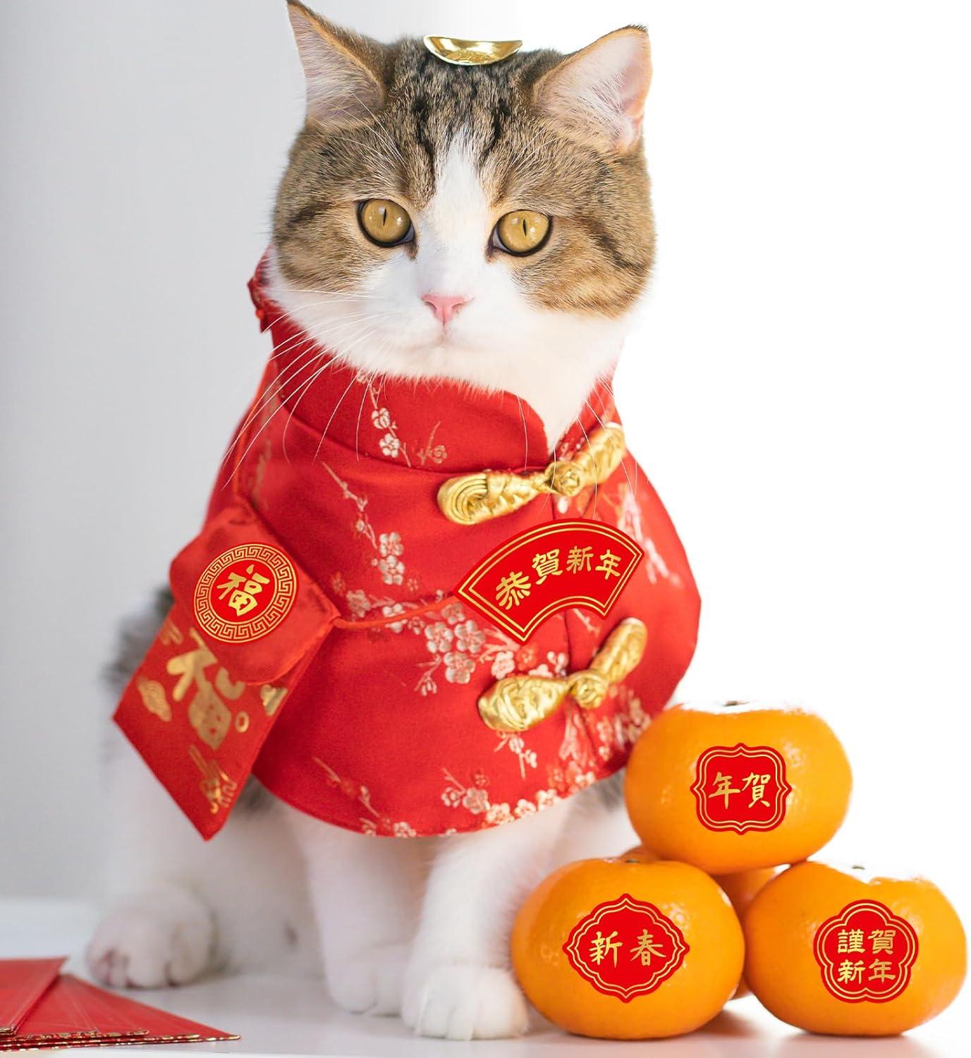 imageWinlyn 352 Pcs Chinese New Year Stickers Asian Lunar New Year Fu Labels and Chinese Blessing Stickers 2025 Year of The Snake Candy Chocolate Labels for Spring Festival Party Favors New Year Decoration