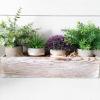 1 Pcs Wood Planter Rectangle Whitewashed Rectangular Decorative Wooden Box with Inner Plastic Box – 17.3″ L x 3.9″ W x 3.9″ H Floral Natural Centerpieces Rustic Wedding Decor
