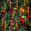 16 Pcs Chinese Lucky Coins Decorations Feng Shui Coins Ornaments Hanging Good Fortune Coins Ornaments Red Chinese Knot Luck Charm and fu Bags for Wealth Health Success Asian Chinese Lunar New Year