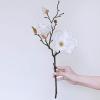 Winlyn 3 Pcs Silk Magnolia Flowers with Buds Branch Artificial Magnolia Blooms Wedding Flowers Bouquets Floral Stems in White 19″ Tall for Vase Floral Arrangement Table Centerpiece Home Decor