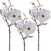 Winlyn 3 Pcs Silk Magnolia Flowers with Buds Branch Artificial Magnolia Blooms Wedding Flowers Bouquets Floral Stems in White 19″ Tall for Vase Floral Arrangement Table Centerpiece Home Decor
