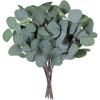 Supla 10 Pcs Fake Eucalyptus Leaves Stems Bulk Artificial Silver Dollar Plant in Grey Green 11.8″ Tall Wedding Artificial Greenery Holiday Greens Floral Arrangement