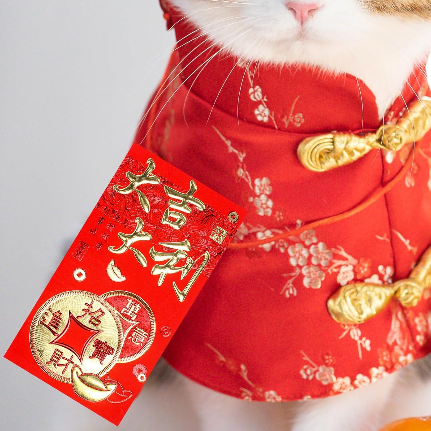 imageWinlyn 120 Pcs 6 Designs Asian Red Envelopes Chinese Hong Bao Lucky Money Envelopes Red Packets Red Pockets Lai See Packet Cash Envelopes for Chinese Lunar New Year Wedding Birthday Snake Year 2025Style1