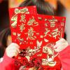Winlyn 120 Pcs 6 Designs Asian Red Envelopes Chinese Hong Bao Lucky Money Envelopes Red Packets Red Pockets Lai See Packet Cash Envelopes for Chinese Lunar New Year Wedding Birthday Snake Year 2025(Style-1)