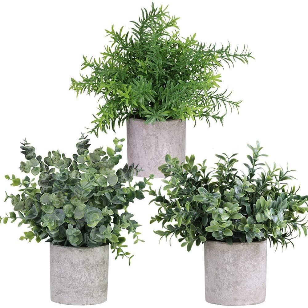 imageWinlyn Mini Potted Plants Artificial Eucalyptus Boxwood Rosemary Greenery in Pots Faux Potted Herbs Small Houseplants 83quot9quot Tall for Indoor Greenery Tabletop Dcor Centerpiece 3 Pack