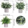 Winlyn Mini Potted Plants Artificial Eucalyptus Boxwood Rosemary Greenery in Pots Faux Potted Herbs Small Houseplants 8.3″-9″ Tall for Indoor Greenery Tabletop Décor Centerpiece 3 Pack