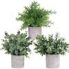Winlyn Mini Potted Plants Artificial Eucalyptus Boxwood Rosemary Greenery in Pots Faux Potted Herbs Small Houseplants 8.3″-9″ Tall for Indoor Greenery Tabletop Décor Centerpiece 3 Pack