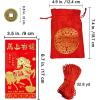 Supla 300 Pcs Chinese Lucky Coins Decorations Feng Shui Coins Fortune Coins Good Luck Coins Lucky Bag Hong bao for Asian Chinese Lunar New Year Health Wealth Bracelet Charms 2026 Year of The Horse