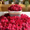 Winlyn 3000 Pcs Red Silk Rose Petals Set – Scented Ready-to-use Separated Realistic Artificial Rose Flower Petals for Romantic Night for Her for Him for Weddings Anniversaries Valentine’s Day Decor(Red)
