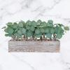 18 Pcs Fake Eucalyptus Leaves Stems Bulk Artificial Oval Eucalyptus Leaves Branches with Seeds in Grey Green for Wedding Holiday Greenery Decoration Indoor Floral Vase Bouquet Centerpiece Arrangement(Green)