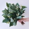18 Pcs Fake Eucalyptus Leaves Stems Bulk Artificial Oval Eucalyptus Leaves Branches with Seeds in Grey Green for Wedding Holiday Greenery Decoration Indoor Floral Vase Bouquet Centerpiece Arrangement(Frosted Green With White Seeds)