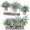 Winlyn 3 Pack Potted Plants Artificial Eucalyptus Boxwood Fern Greenery in Pots with Wood Planter Box for Farmhouse Cabinets Bath Table Bathrooms Mantle