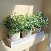 Winlyn Set of 3 Mini Artificial Potted Plants Faux Seeded Boxwood Greenery Arrangement with Wood Planter Box for Indoor Office Apartment Wedding Tabletop Decorations 8.5″ Tall