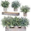 Winlyn Set of 3 Mini Potted Artificial Eucalyptus Plants Faux Rosemary Plant Assortment with Wood Planter Box for Indoor Office Desk Apartment Wedding Tabletop Greenery Decorations 8.7″ Tall
