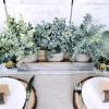 Winlyn Set of 3 Mini Potted Artificial Eucalyptus Plants Faux Rosemary Plant Assortment with Wood Planter Box for Indoor Office Desk Apartment Wedding Tabletop Greenery Decorations 8.7″ Tall