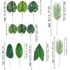 Winlyn 15 Pcs Assorted Artificial Tropical Leaves Set Decorative Real Touch Faux Tropical Monstera and Palm Leaf with Stems for Hawaiian Luau Safari Beach Jungle Tiki Party Summer Wedding Home Décor