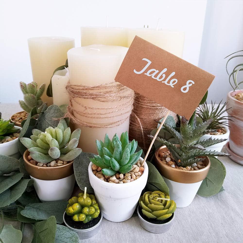 image:imageWinlyn 60 Pcs White Terra Cotta Pot 25 Inch Tiny Mini Clay Pots with Drainage Holes Flower Nursery Terra Cotta Pots for Succulent Plants Crafts Wedding Baby Shower Favor