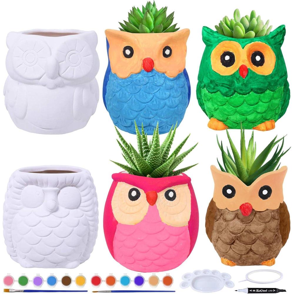image:imageWinlyn 6 Sets DIY Ceramic Owl Succulent Pots Paint Craft Kit Unpainted Ceramic Bisque Owl Flowerpots with Drainage Hole Ready to Paint for Kids Classroom Craft Project Activity