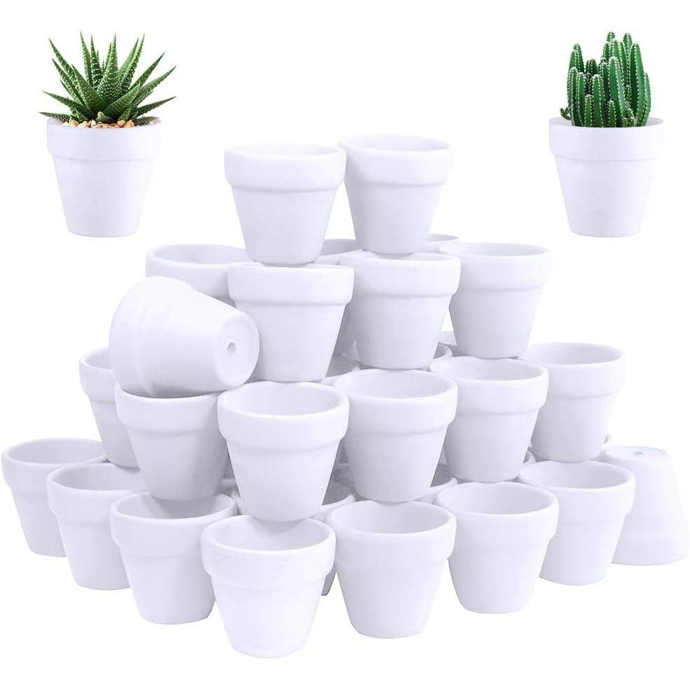 image:imageWinlyn 60 Pcs White Terra Cotta Pot 25 Inch Tiny Mini Clay Pots with Drainage Holes Flower Nursery Terra Cotta Pots for Succulent Plants Crafts Wedding Baby Shower Favor