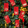Supla 120 Pcs 6 Design Chinese Hong Bao Red Envelopes Lucky Money Envelopes Red Packet Lai See Lucky Packet Cash Envelope Red Pockets for Chinese New Year Wedding Birthday Year of The Dragon 2024