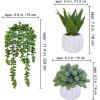 Winlyn 3 Pcs Small Artificial Succulent Plants in Pots Faux Aloe Hops String of Pearls with White Geometric Planters Pots for Desk Table Centerpiece Shelf Windowsill Office Home Indoor Outdoor Decor