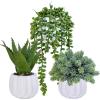 Winlyn 3 Pcs Small Artificial Succulent Plants in Pots Faux Aloe Hops String of Pearls with White Geometric Planters Pots for Desk Table Centerpiece Shelf Windowsill Office Home Indoor Outdoor Decor